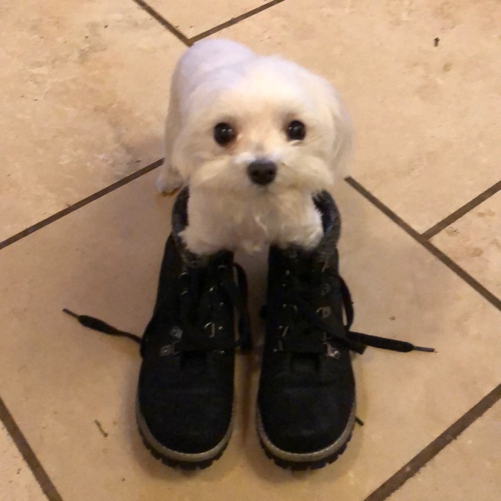 Black Boots